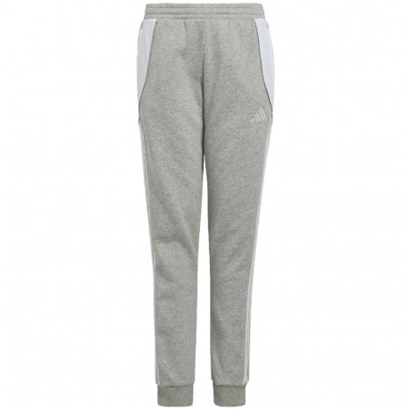 adidas laste dressipüksid Tiro 24 Sweat IS1009 164cm, hall