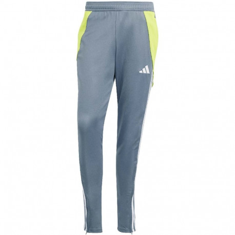 adidas meeste treeningpüksid Tiro 24 IV6945 M, hallid