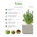 Click & Grow Smart Garden refill Arugula 3pcs