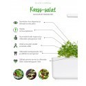 Click & Grow Smart Garden refill Kress-salat 3tk