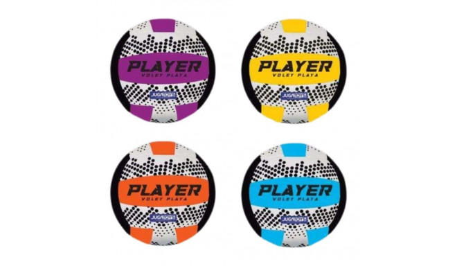 Beach Volleyball Ball