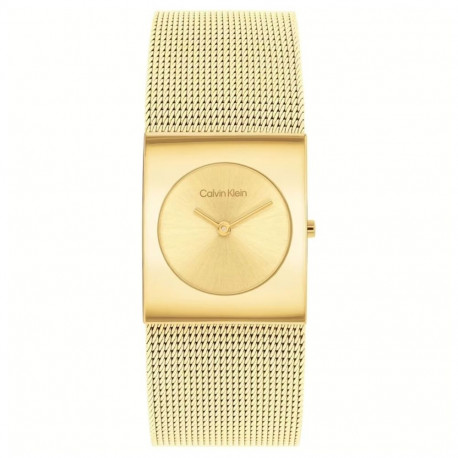 Men's Watch Calvin Klein 1693551