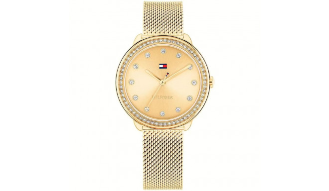 Ladies' Watch Tommy Hilfiger DEMI (Ø 33 mm)