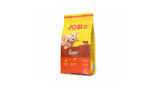 Kassitoit Josera Täiskasvanu
