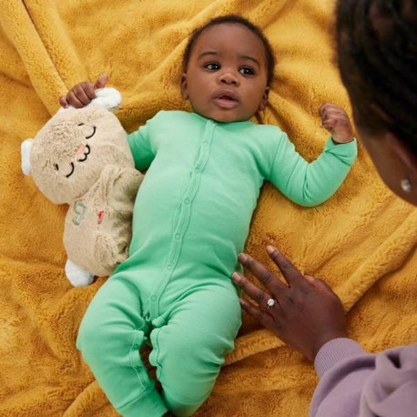 Soft toy with sounds Fisher-Price Rabbit Plastic