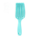 Anti-static hairbrush blue