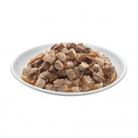 PREVITAL Cat Food Megabox with Lamb, Beef, Rabbit, and Chicken in Gravy - Wet Cat Food - 24 x 100g