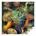 Cenega Imagination Jigsaw puzzle 1000 pc(s) Art