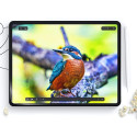 PROTECTION FILM HOFI PAPER PRO+ 2-PACK IPAD AIR 10.9 4 | 5 | 2020-2022 | PRO 11 2 | 3 | 4 | 2020-202