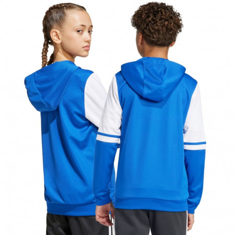 Adidas laste pusa Squadra 25 Hoody JD4802 164cm, sinine-valge
