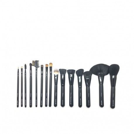 MOI BROCHAS Y PINCELES PROFESSIONAL ESTUCHE 15 pz