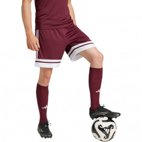 Adidas meeste lühikesed püksid Squadra 25 JC8677 S, veinipunane