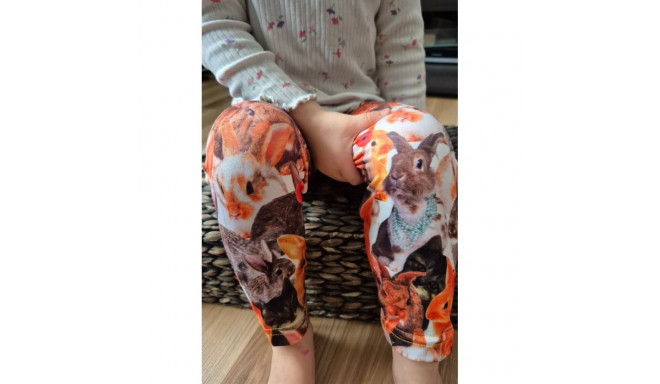 SOKISAHTEL RABBIT jänestega retuusid lastele 428, 427