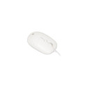 iBox Seagull mouse Home Ambidextrous USB Type-A Optical 2400 DPI