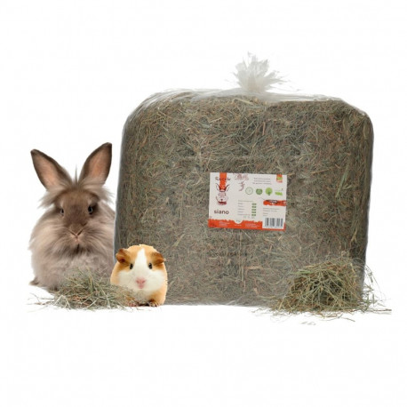 Rodent Treat - RECEK Meadow Hay 4kg Hand-Packed Natural