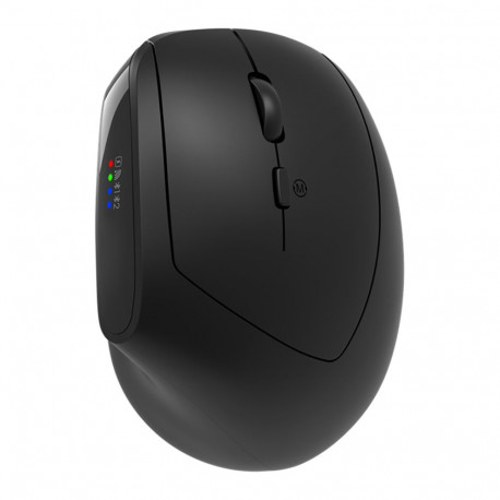 CANYON mouse MW-25 Ergonomic LED AA Dual mode Wireless Black