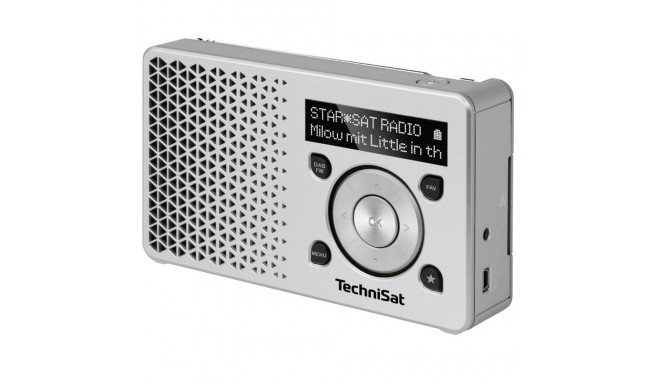 TechniSat Digitradio 1 DAB+ raadio hõbedane