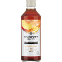 Sodastream Crafted Peach & Ginger Syrup 330 ml