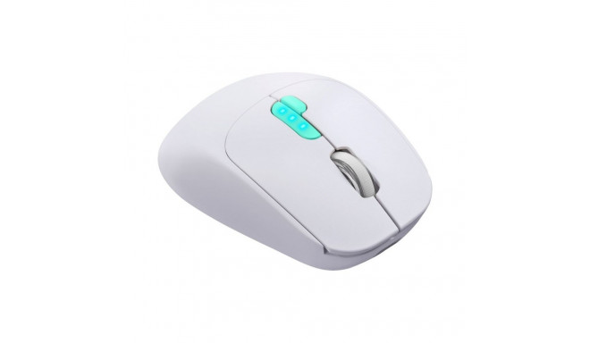 mouse defender nitta MM-307 RF+BT optiline 1600dpi 6P valge