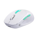 MOUSE DEFENDER NITTA MM-307 RF+BT OPTIC 1600dpi 6P WHITE