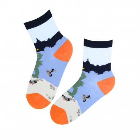 SOKISAHTEL REINO sinised puuvillased tuvidega sokid 444