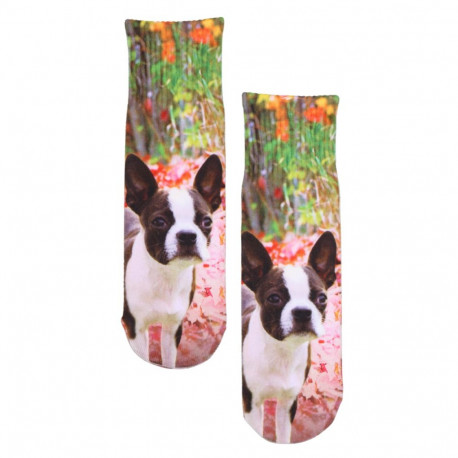 SOKISAHTEL PRINT bulldogi pildiga prinditud sokid