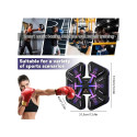 RoGer BOX1 Electronic Wall Panel for Boxing with Bluetooth and RGB Backlight