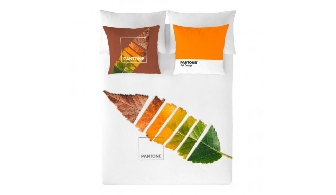 Tekikott Leaf Pantone