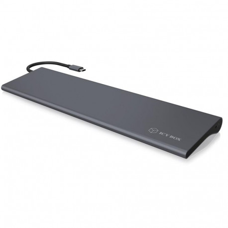 IcyBox Docking Station IB-DK2102-C USB TYPE C