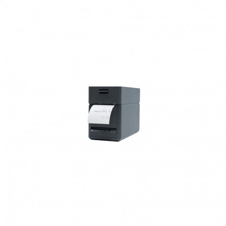 Seiko SLP720RT, 8 dots/mm (203 dpi), cutter, USB, kit (USB), black (6 tk.)