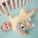 Fisher-Price muusikaline mänguasi Cuddly Soothen Snuggle Otter