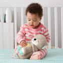 Fisher-Price muusikaline mänguasi Cuddly Soothen Snuggle Otter