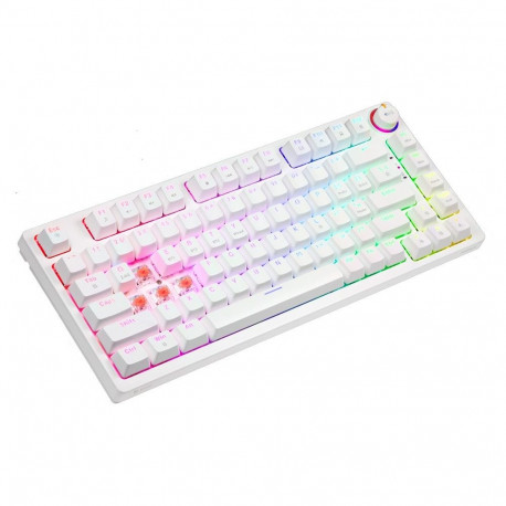 Mechanical Keyboard Phen SAVIO