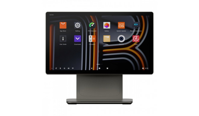 Smart Desktop Terminal D3 Pro A13 15,6 inch 4GB+64GB