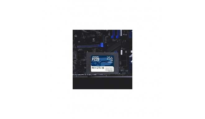 Internal Hard Drive - Patriot Memory P220 256gb, Silver