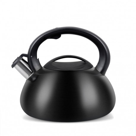 Kettle - PROMIS TMC01BS AUGUSTO 3L Induction, Gas Black Steel