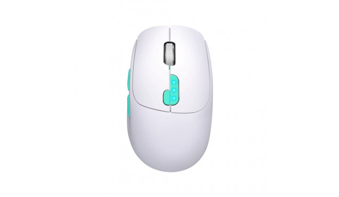 Computer Mouse - MOUSE DEFENDER NITTA MM-307 RF+BT OPTIC 1600dpi 6P Rechargeable 400 mAh White