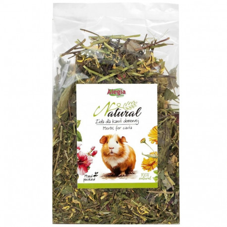 Cavy Treats - Alegia Herbs For Cavia, Green