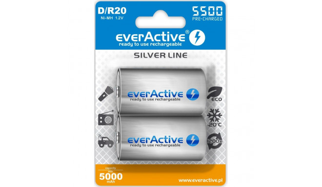 Battery - everActive R20/D Ni-MH 5500 mAh Rechargeable Pack of 2