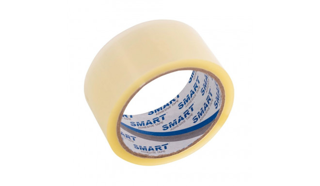 Adhesive Tape - BSTech Solvent Transparent 48x66