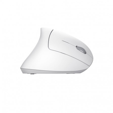 Computer Mouse - Trust Verto Vertical Ergonomic Wireless Mouse 25132 - White
