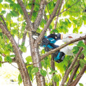 Chainsaw - MAKITA DUC101Z01 10 cm, 8 m/s, 18 V, 1.1 kg, 76 dB, Blue, Black