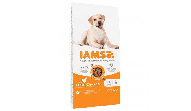Dog Food - Iams Adult Large Breed 12kg