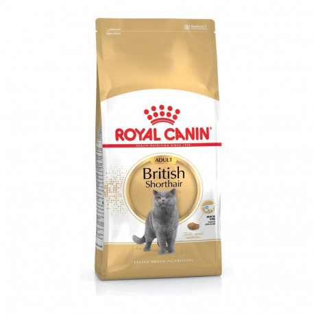 Dry Cat Food - Royal Canin British Shorthair Fbn Adult