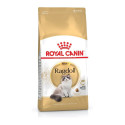 Cat food - ROYAL CANIN Ragdoll FBN 400g