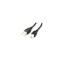 USB Cable - Gembird Ccp-usb2-ambm-6, Black