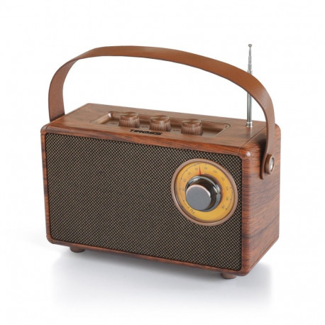 Tiross akuga raadio TS-463