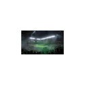 Electronic Arts EA Sports FC 25 Standard Czech, English, Polish, Russian, Turkish PlayStation 4