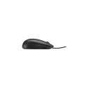 HP USB Optical 2.9M Mouse