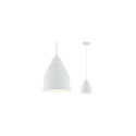 Paulmann Hilla suspension lighting Flexible mount E27 40 W